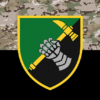 12-i-okremyi-tankovyi-batalion-12-otb-chornyi-kamufliazh-4.jpg