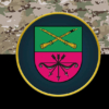 23-tia-okrema-bryhada-okhorony-hromadskoho-poriadku-23-obrohp-chornyi-kamufliazh-7.jpg