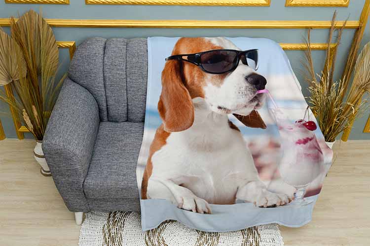 Бігль з молочним коктейлем Beagle with a milkshake