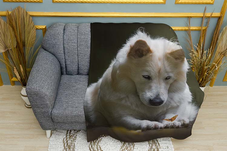 Білий пес та метелик White dog and butterfly