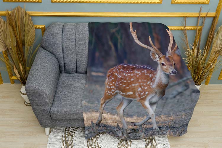 Благородний олень Ліс Noble deer Forest