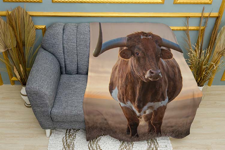 Бик Великі роги Bull Big horns