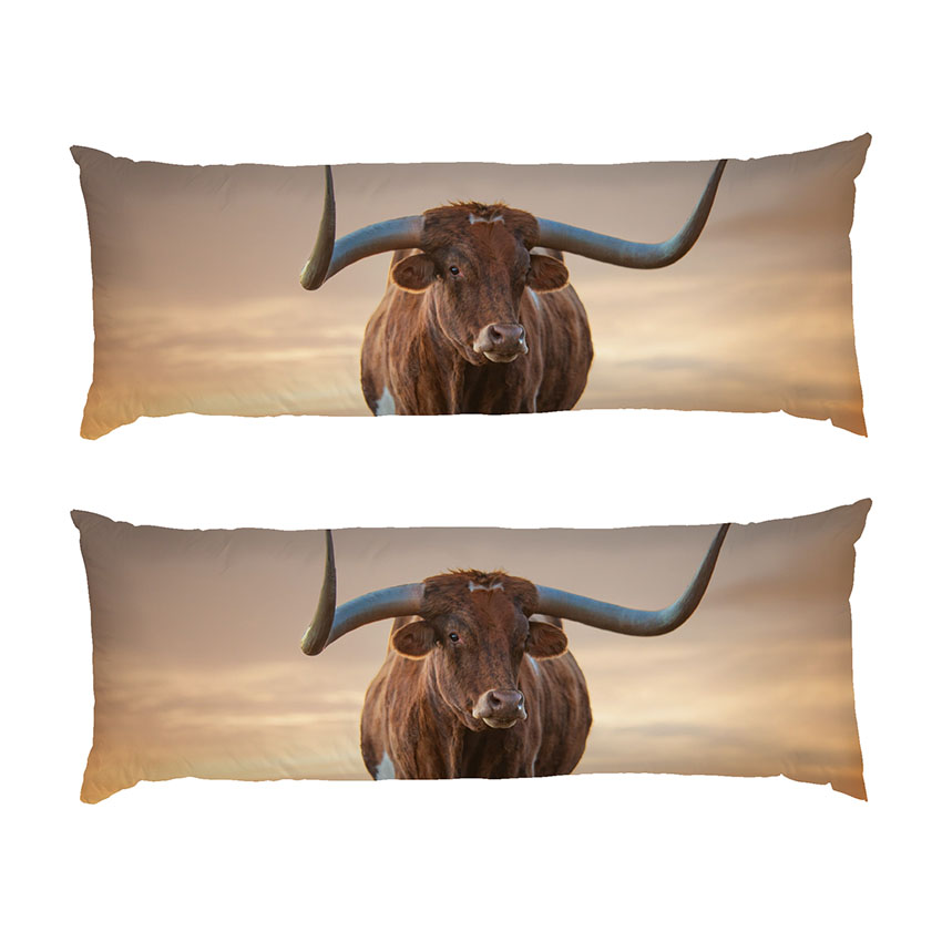 Бик Великі роги Bull Big horns