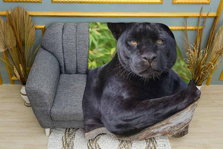 Чорна пума Black cougar