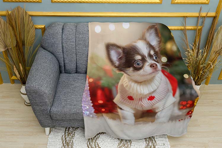 Чихуахуа і різдвяна магія Світло свята Chihuahua and Christmas Magic Holiday Glow
