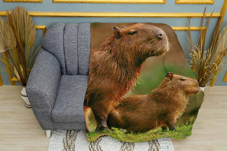 Дві милі капібари Two cute capybaras