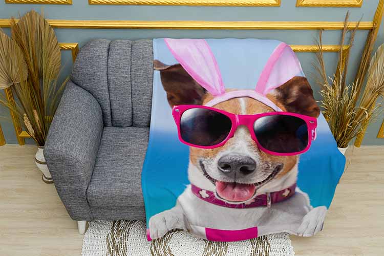 Джек рассел тер'єр у окулярах Jack Russell terrier in glasses
