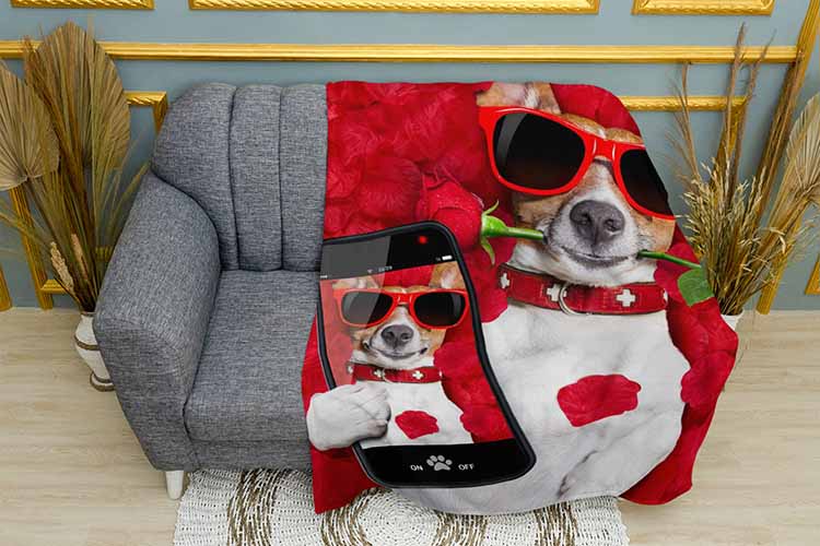 Джек рассел тер'єр у трояндах Jack Russell terrier in roses