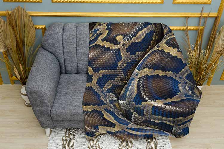 Гарна шкіра змії Beautiful snakeskin