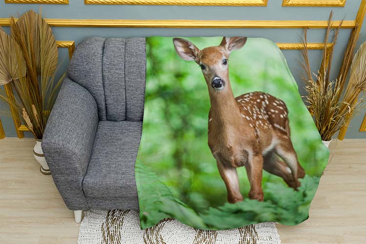 Гарний олень Ліс Beautiful deer Forest