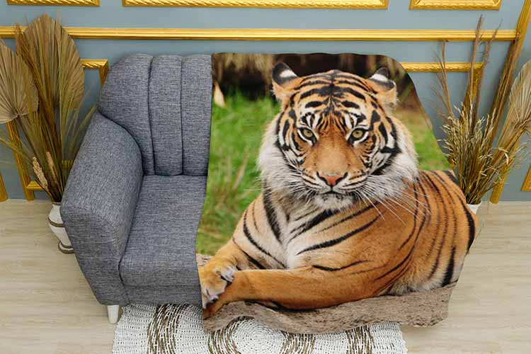 Гордий тигр Proud tiger