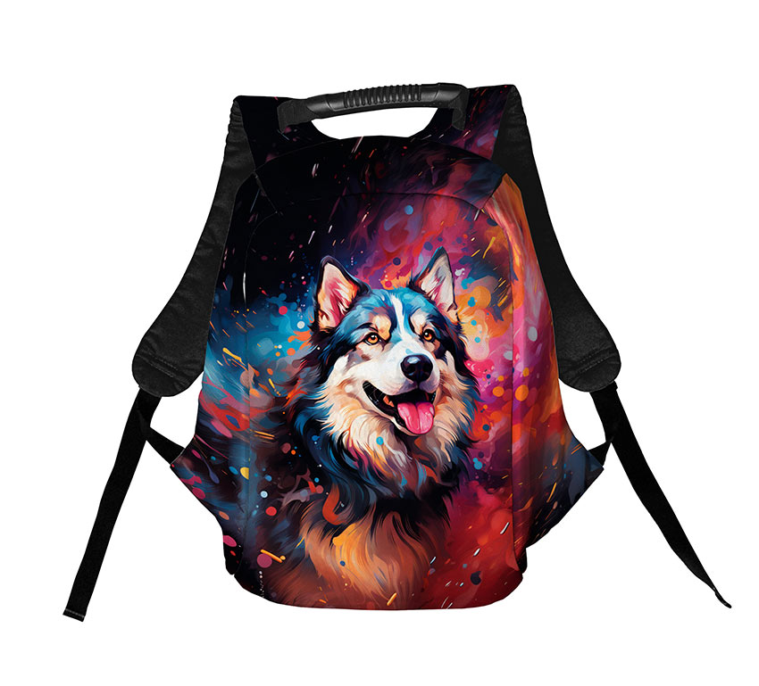 Хаскі у фарбах