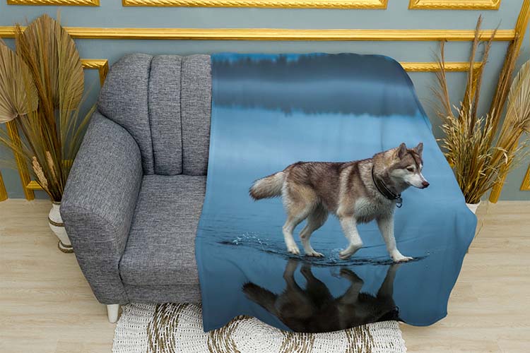 Хаскі Прогулка по воді Husky A walk on the water