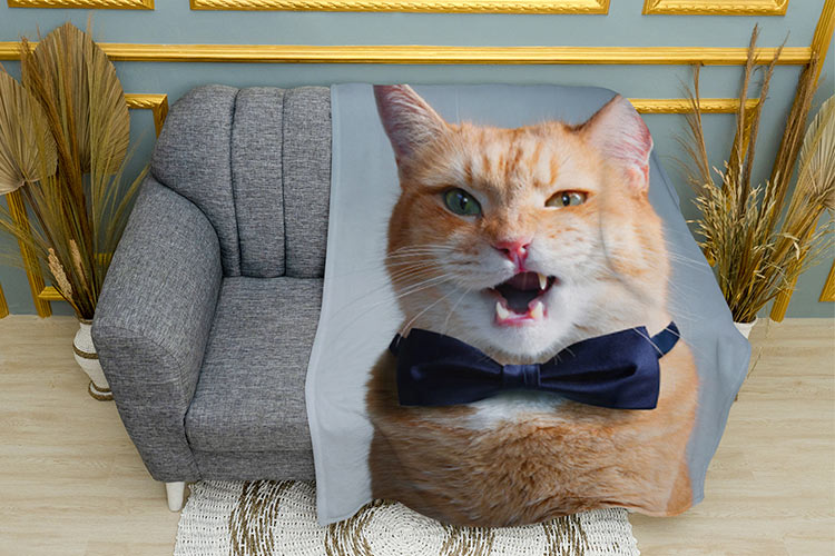Кіт з краваткою метелик Cat with a bow tie