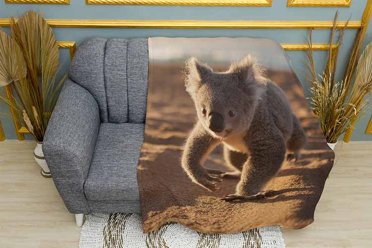 Коала в пустелі Koala in the desert