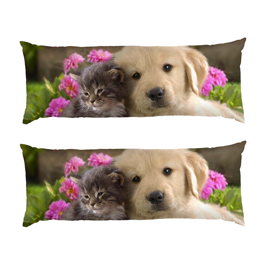 Кошеня та цуценя Маленькі друзі Kitten and puppy Little friends