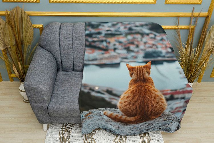 Кошеня у великому місті Kitten in the Big City