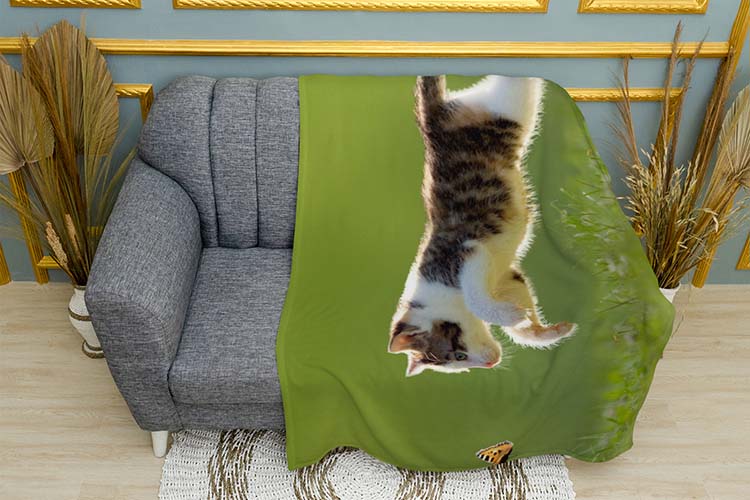 Кошеня Гра у полі Kitten Game in the field