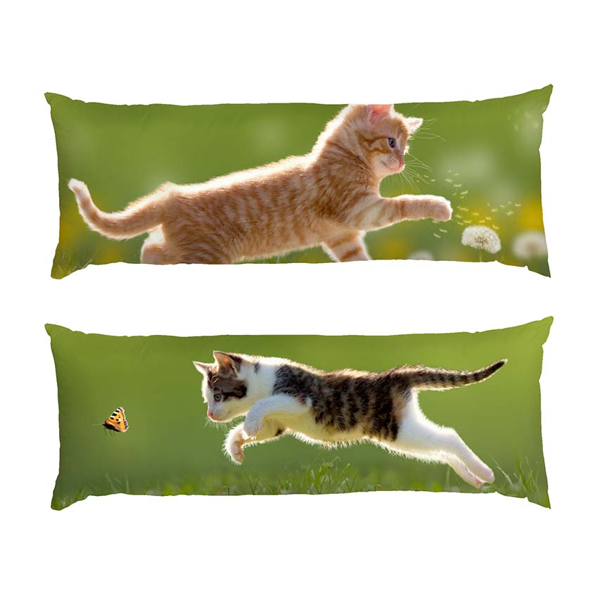 Кошенята Гра у полi Kittens Game in the field