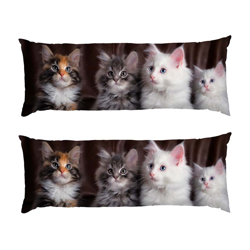 Кошенята Найкращі друзі Kittens Best Friends