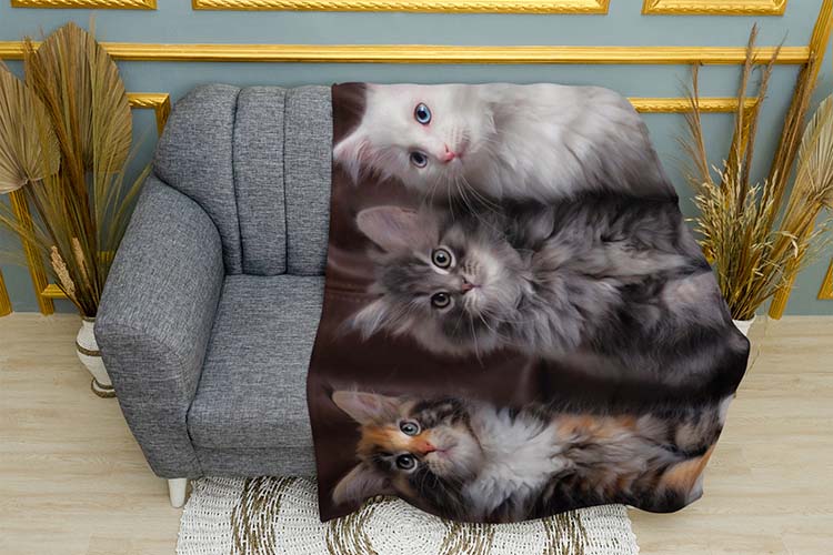 Кошенята Найкращі друзі Kittens Best Friends