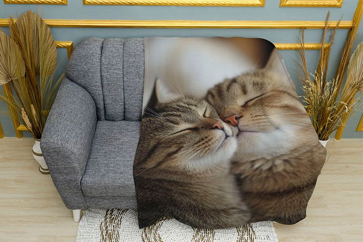 Котяче кохання Feline Love