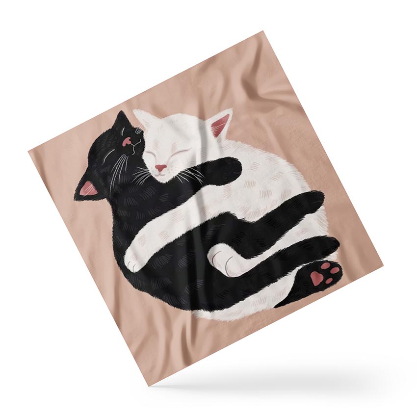 Котики обіймаються Kittens hug