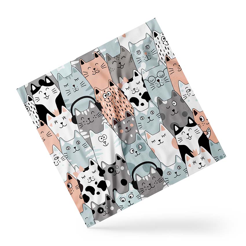 Котики у навушниках Cats in headphones