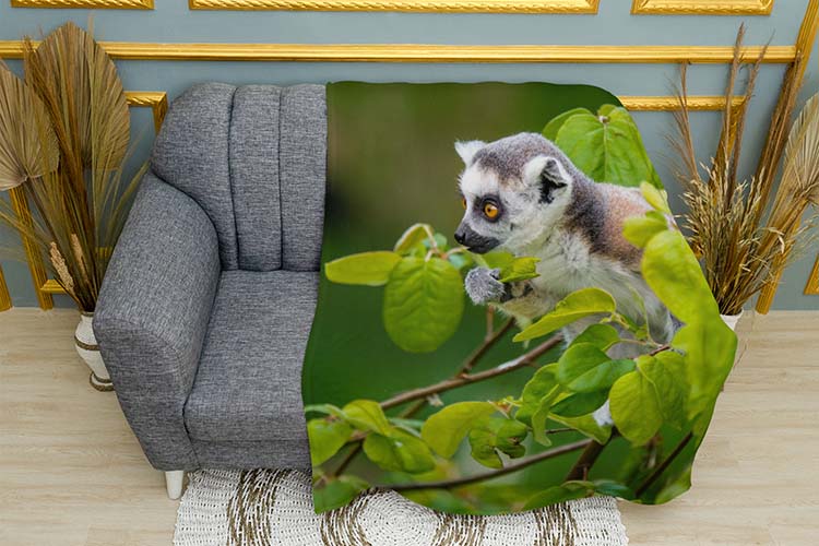 Лемур у джунглях Lemur in the jungle