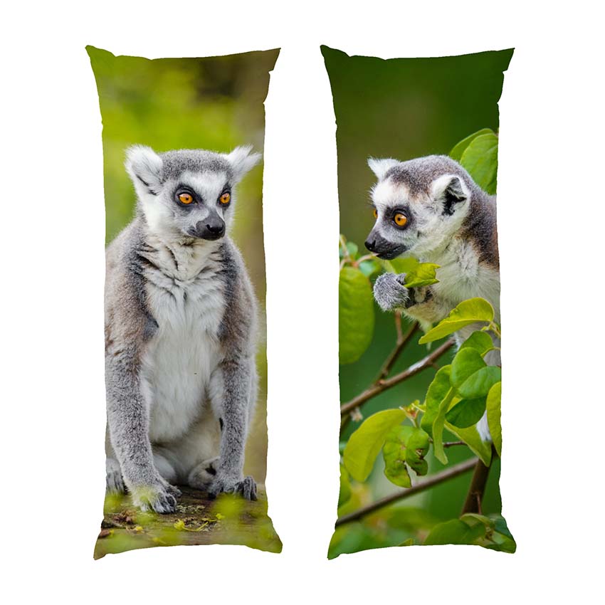 Лемур у джунглях Lemur in the jungle