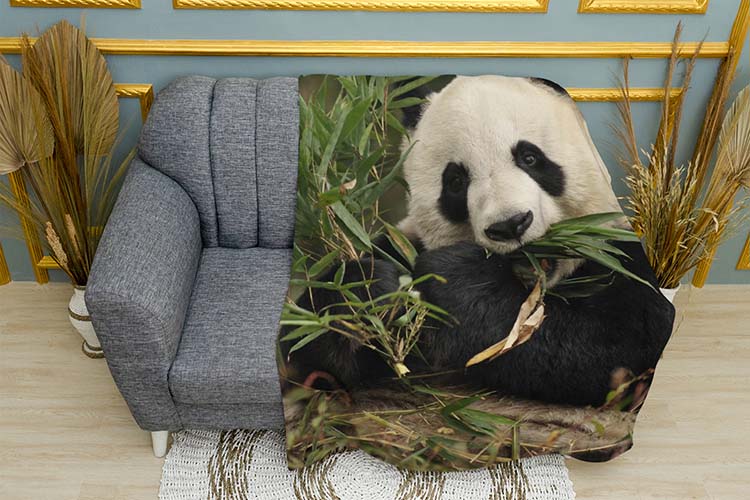 Маленька панда з бамбуком Little panda with bamboo