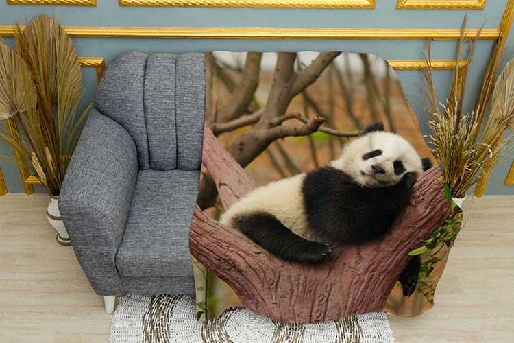 Маленька панда Солодкий сон Little panda Sweet dream