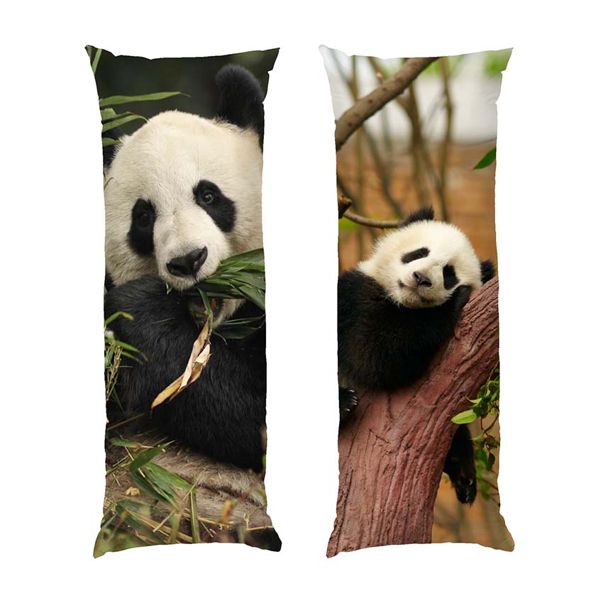 Маленька панда Солодкий сон Little panda Sweet dream