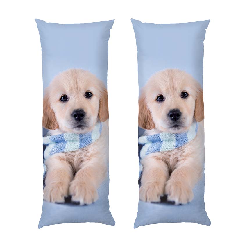 Маленьке цуценя Блакитний шарф Little puppy Blue scarf