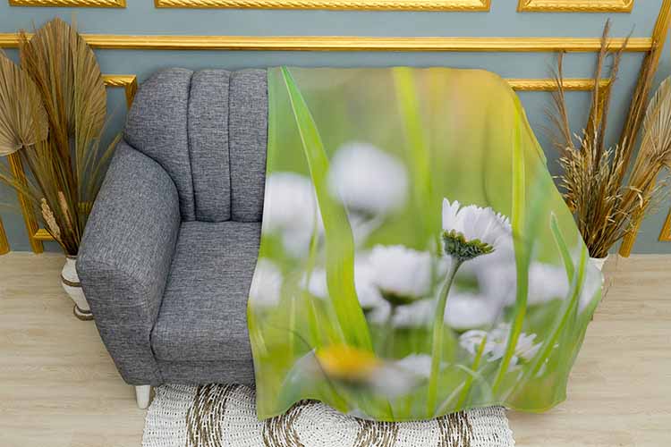 Маленькі білі квіти Small white flowers