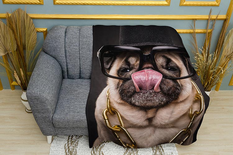Мопс босс Pug boss