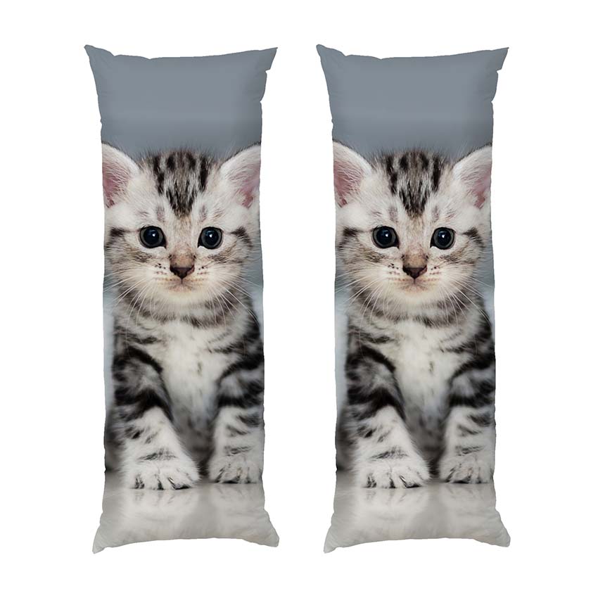 Миле маленьке кошеня Cute little kitten