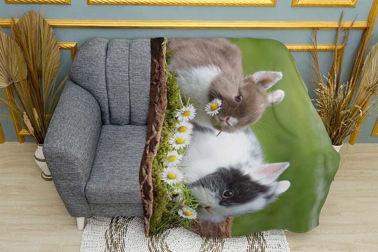 Милі кролики Ромашки Cute rabbits Chamomile