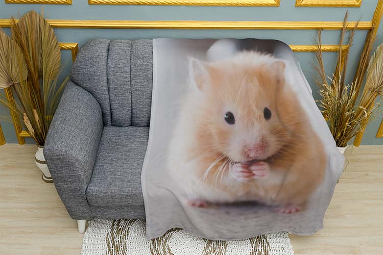 Милий рудий хом'як Cute red hamster