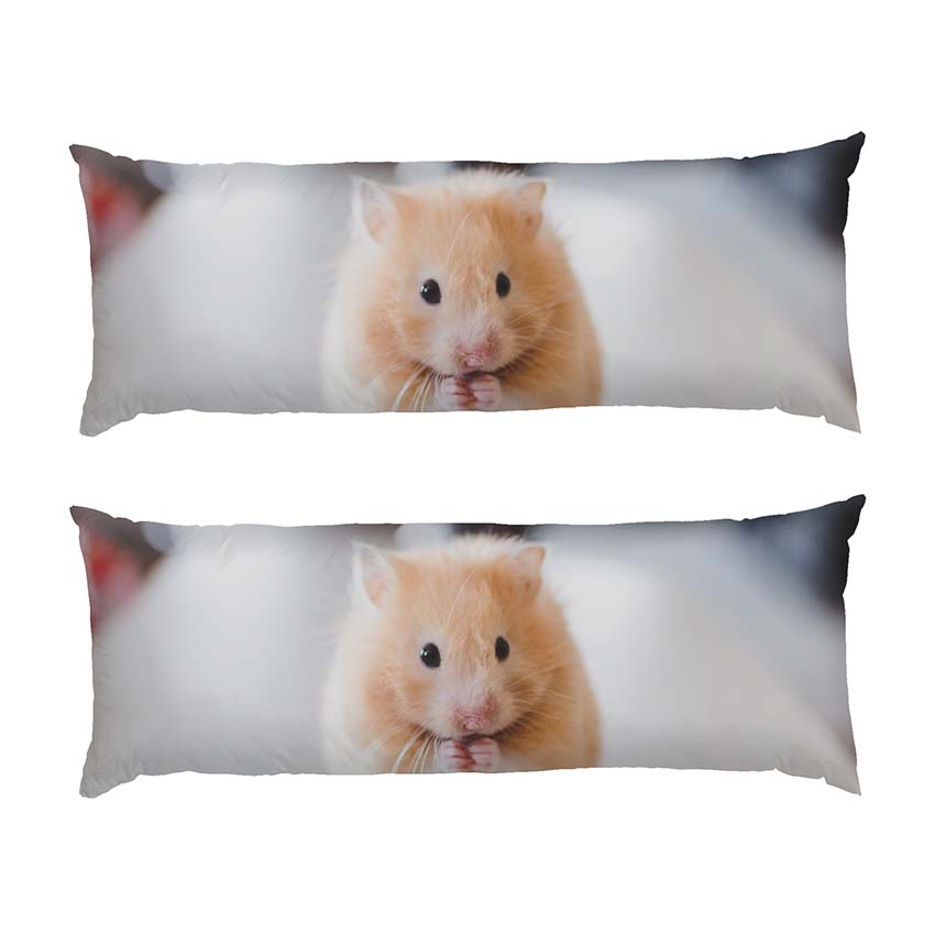 Милий рудий хом'як Cute red hamster