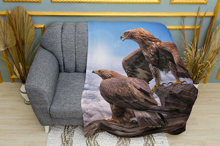 Орли Висока гора Eagles High mountain