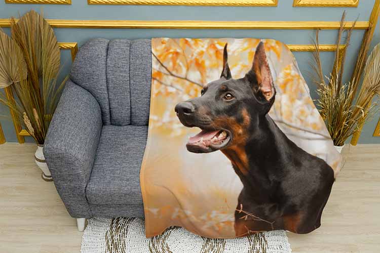 Осінній доберман Autumn Doberman