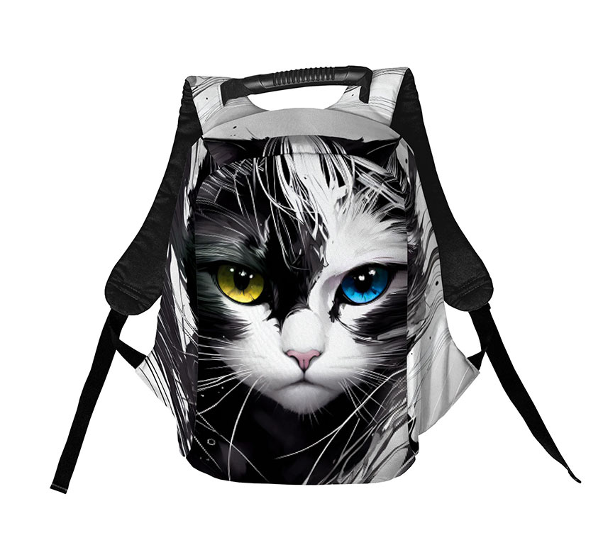 Патріотичний кіт Patriotic cat