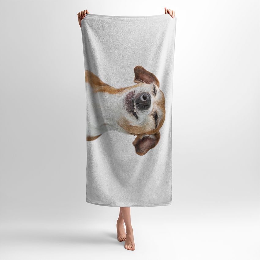 Песик Щасливий Момент Dog Happy Moment