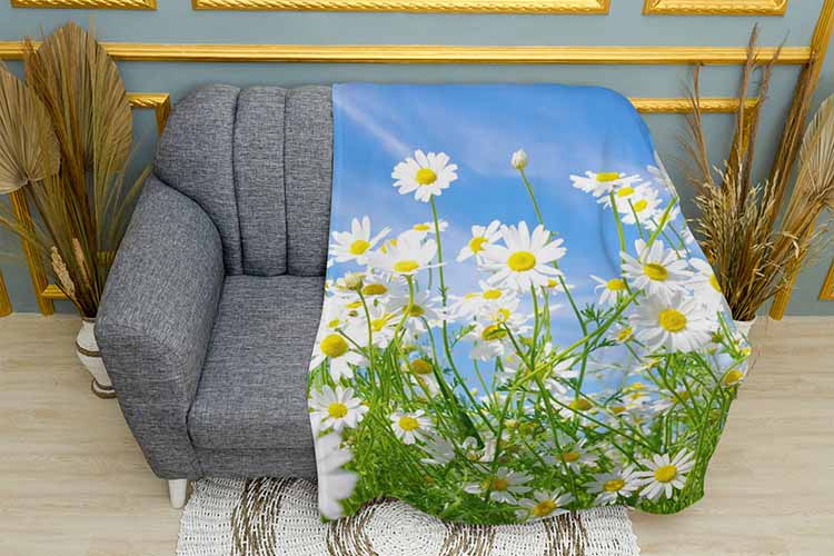 Поле ромашек Поле ромашек