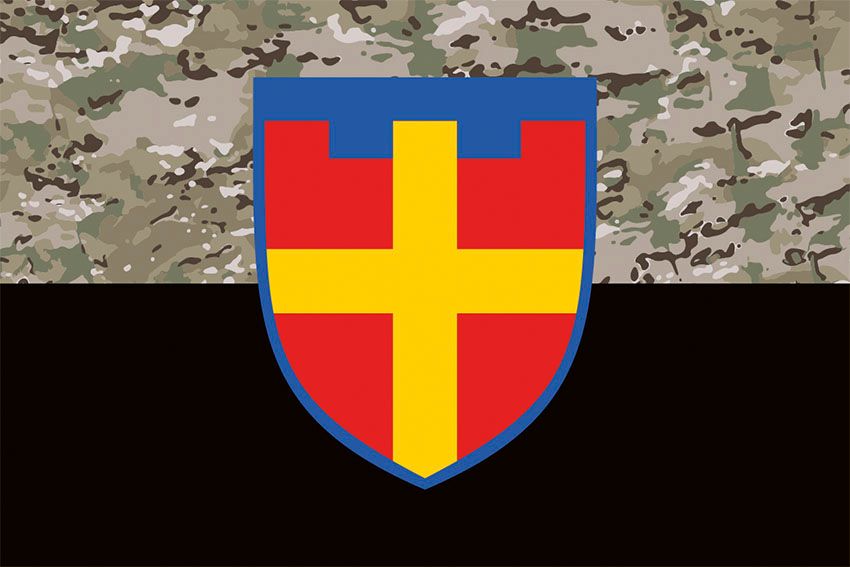 Прапор 115 окремої бригади територіальної оборони (115 ОБрТрО) ЗСУ камуфляж чорний