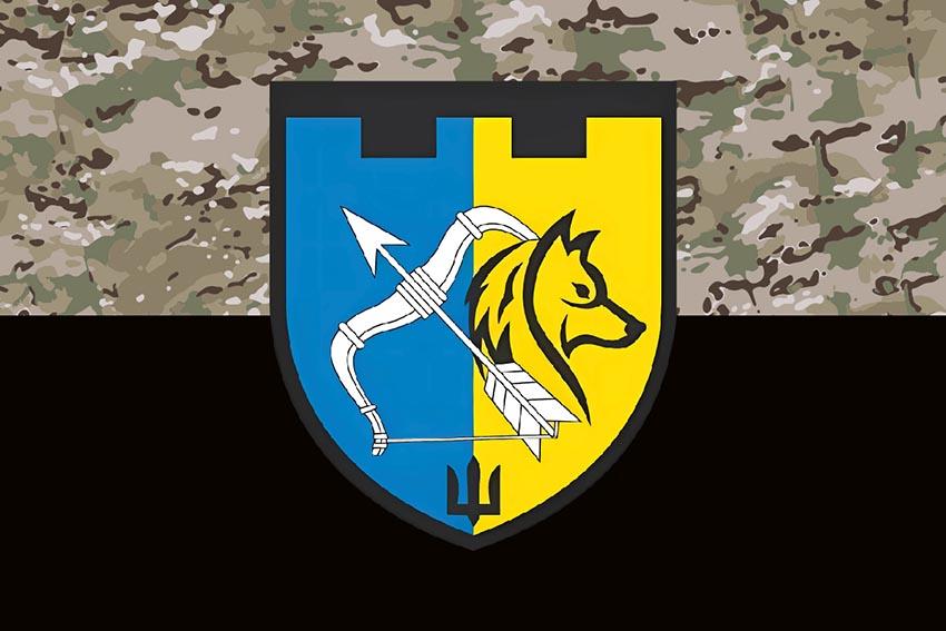 Прапор 209 окремого батальйону територіальної оборони 113 ОБрТрО (209 ОБ 113 ОБрТрО) ЗСУ камуфляж чорний