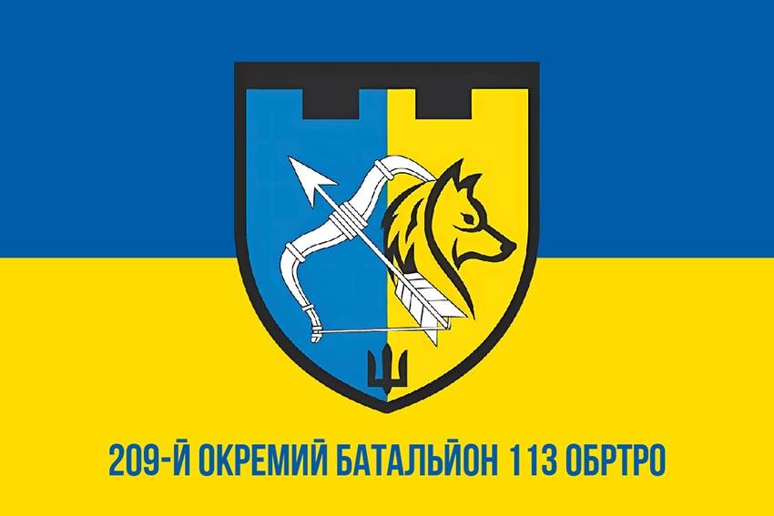 Прапор 209 окремого батальйону територіальної оборони 113 ОБрТрО (209 ОБ 113 ОБрТрО) ЗСУ синьо жовтий