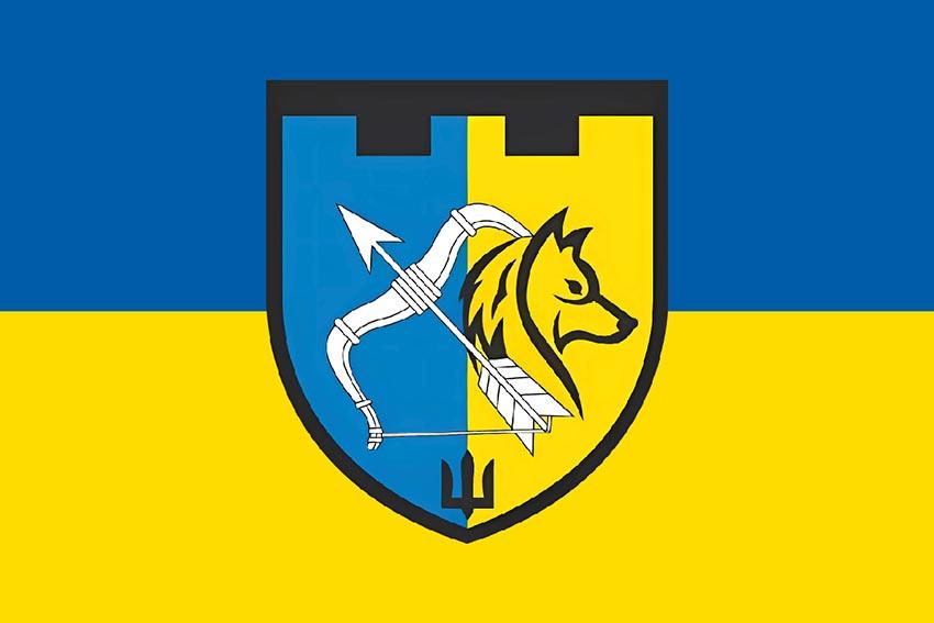 Прапор 209 окремого батальйону територіальної оборони 113 ОБрТрО (209 ОБ 113 ОБрТрО) ЗСУ синьо жовтий