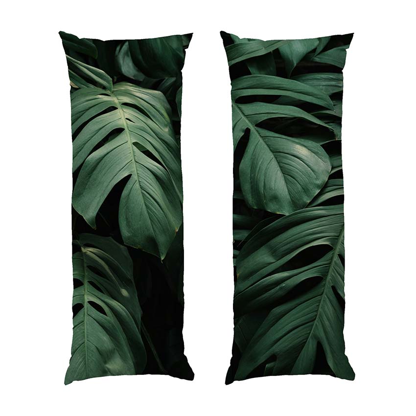 Природа Великі листя Nature Big leaves